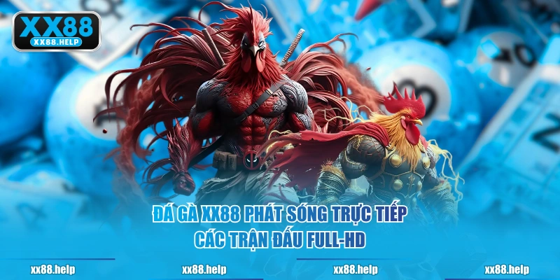 Đá Gà XX88 phát sóng trực tiếp các trận đấu Full-HD