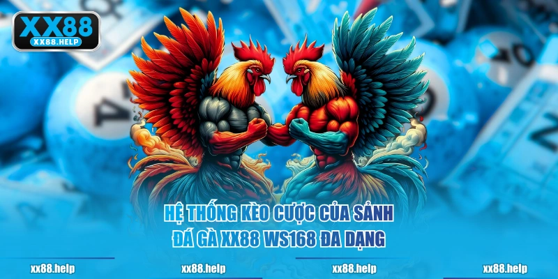 Hệ thống kèo cược của sảnh Đá Gà XX88 WS168 đa dạng