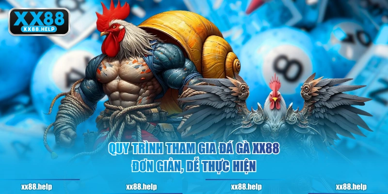 Quy trình tham gia Đá Gà XX88 đơn giản, dễ thực hiện
